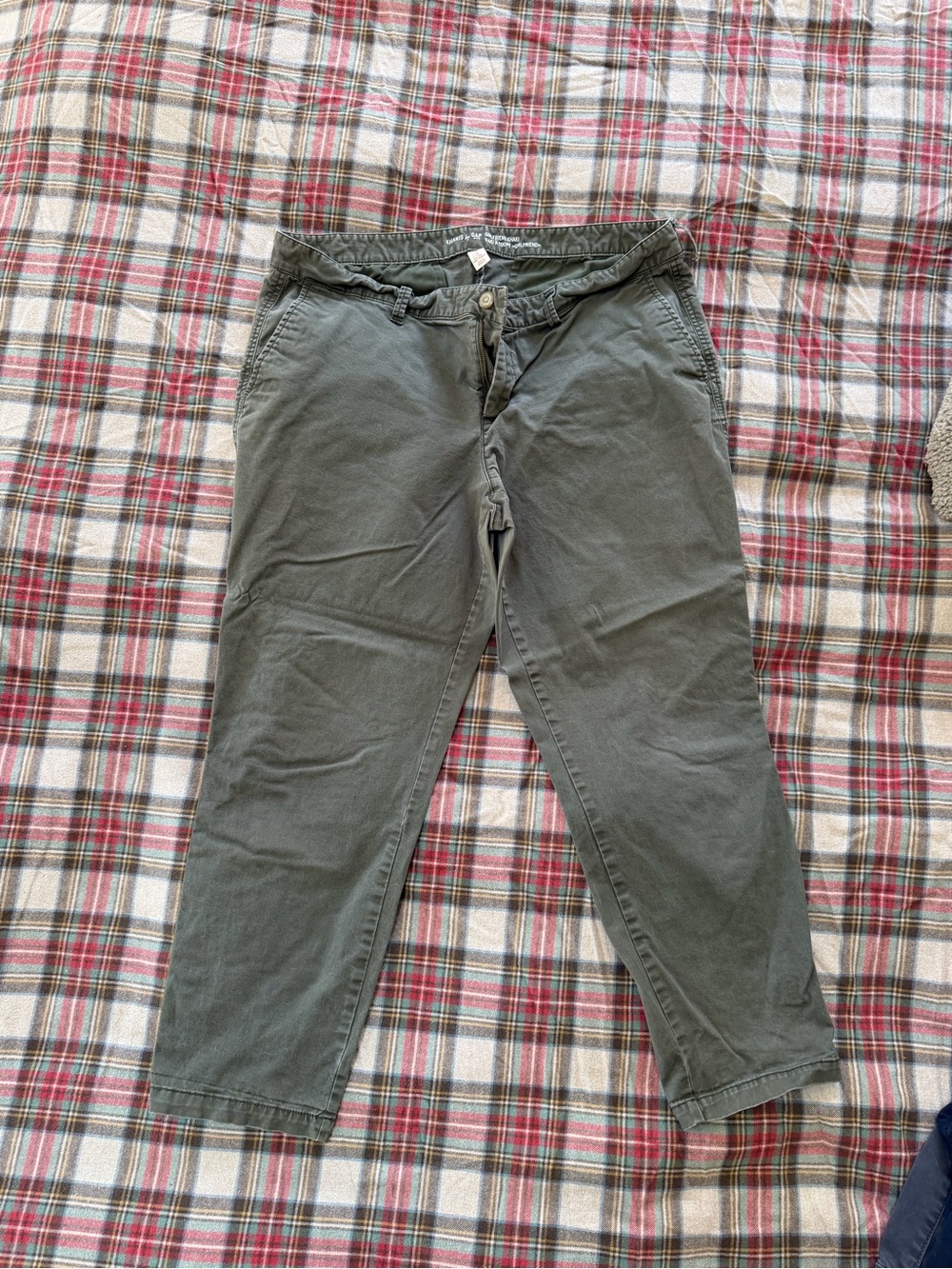 GAP Women's Olive Cropped Chino Pants